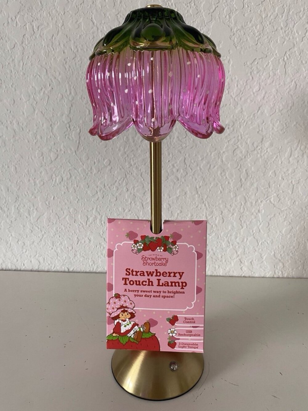 Strawberry Shortcake Touch Lamp USB Rechargeable Glass Dimmable Light VIRAL Pink